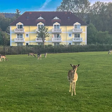 Bayrischer Wald In Terrasse Bergblick Sauna Arber Osser Mit Hund Bis 6gäste * Hohenwarth