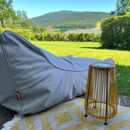 Bayrischer Wald In Terrasse Bergblick Sauna Arber Osser Mit Hund Bis 6gäste Apartment