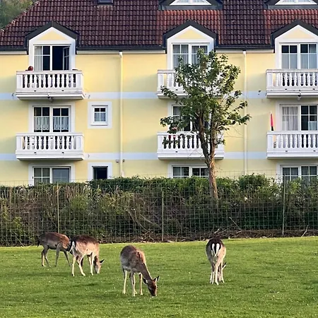 Bayrischer Wald In Terrasse Bergblick Sauna Arber Osser Mit Hund Bis 6gäste Hohenwarth